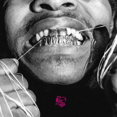 Cover for Floss