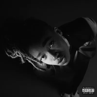 Cover for Grey Area