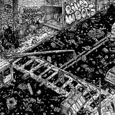 Cover for Known Unknowns