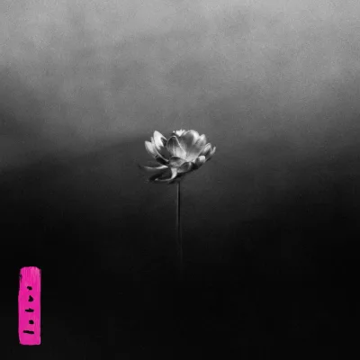Cover for Lotus