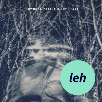 Cover for Podwórka Pytają Kiedy Płyta